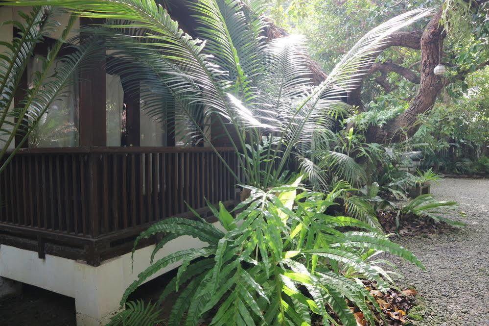 Blue Bayou Bungalows Balabag  Exterior photo